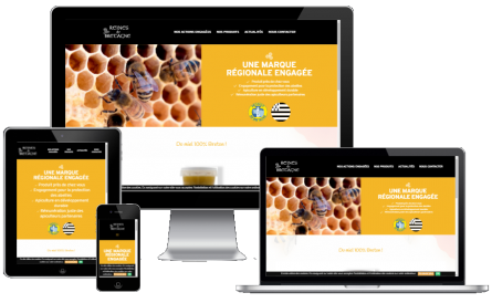 Lancement de notre site internet !